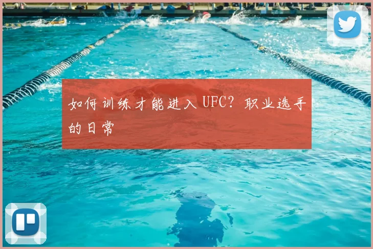 如何训练才能进入 UFC?职业选手的日常