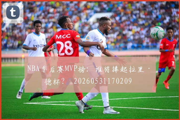 NBA季后赛MVP榜:谁将捧起拉里·伯德杯?_20260531170209