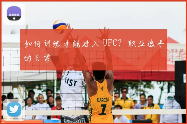 如何训练才能进入 UFC?职业选手的日常