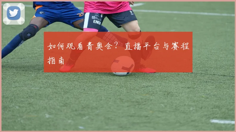 如何观看青奥会?直播平台与赛程指南